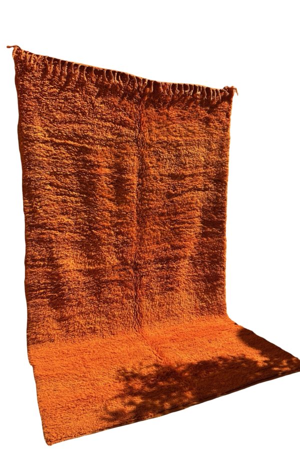 Tapis L'Orngeraie 200/340cm