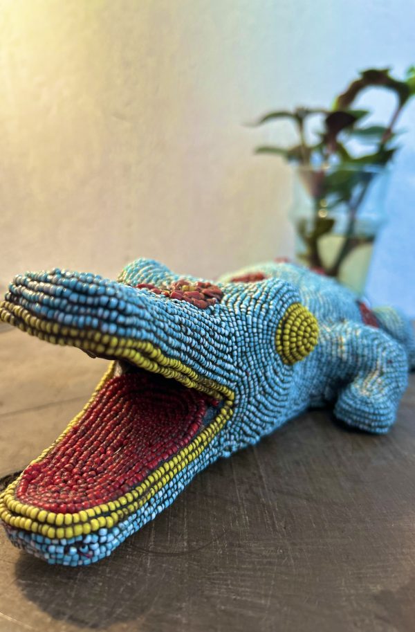 Croc Brrrr
