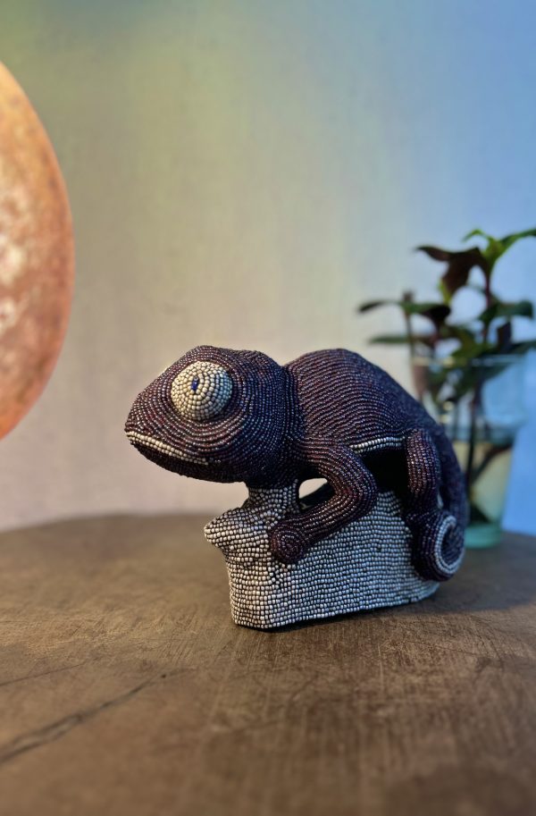 Purple Cameleon