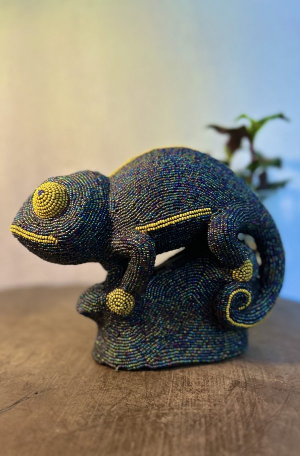Lagoon Cameleon