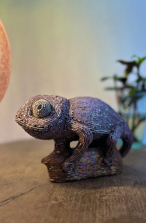 Pink Cameleon