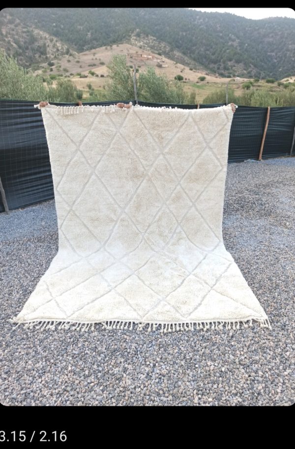 Tapis Mrirt 100% 315x216
